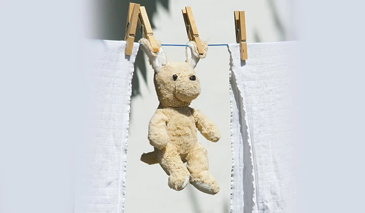 Kuscheltier auf Leine Läuse bekämpfen: Wohnung reinigen und Kuscheltiere säubern